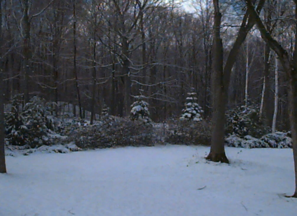 Snow!
